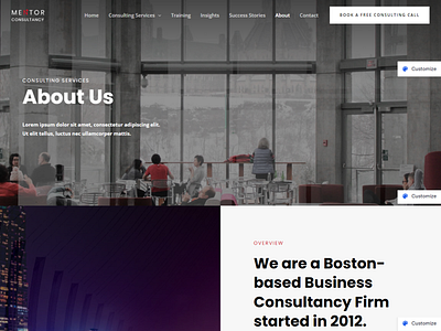 Business Consultancy Firm website design