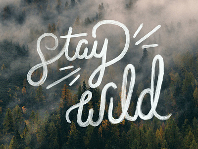 Stay Wild custom fog forest hand lettering paint procreate script