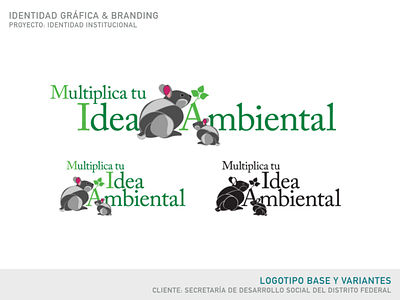 Multiplica tu Idea Ambiental | Brand Design | Base & Variation