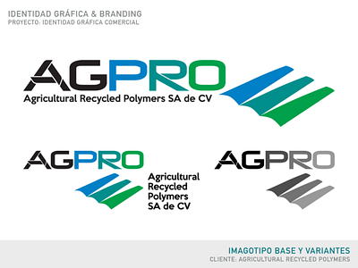 AGPRO | Brand Design | Base & Variation Imagotype branding design graphic design logo vector