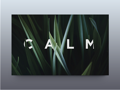 Calm calm design feeling graphic green minimal type