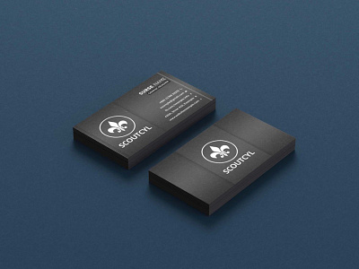 Premium Business Card Design business card premium business card premium card visiting card