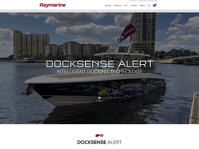 Raymarine DockSense Alert