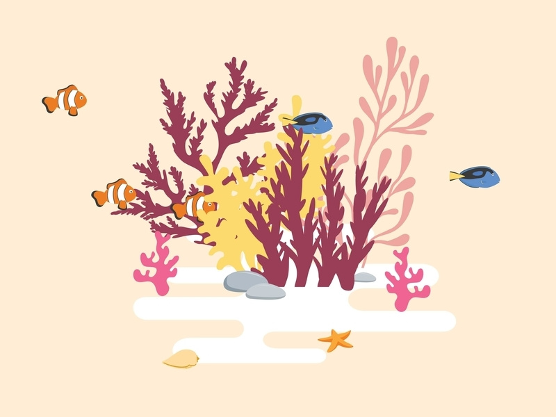 Coral Reef dory nemo under the sea ocean element water ocean sea reef coral fish