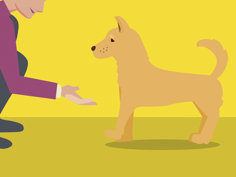 yellow dog dog illustration pet