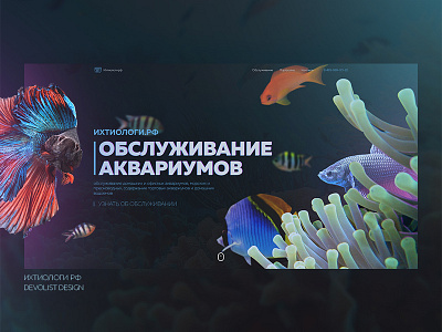 Dribbble beauty branding design fish makeup portfolio sea shot ui ux website