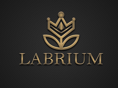 Logo Name: Labrium design graphic design illustration logo motion graphics vector