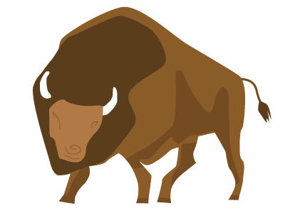 Buffalo animal brown buffalo dark brown
