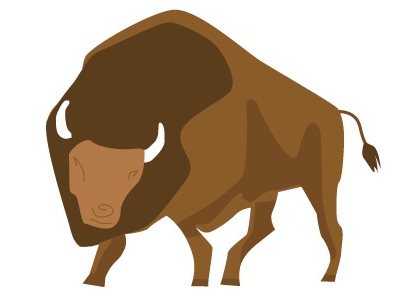 Buffalo