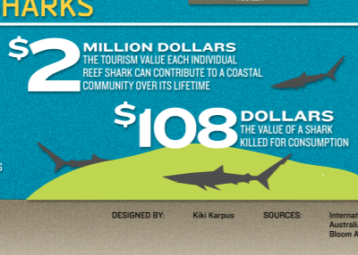 Shark Finning Infographic blue infographic red shark finning sharks stats texture white yellow