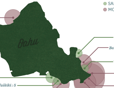 Oahu Beaches Infographic beaches green hawaii honolulu magazine infographic most dangerous oahu red safest