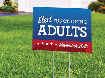 Elect Functioning Adults - November 2018 election just for fun yard sign