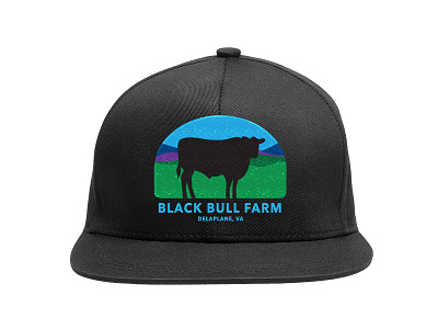 Black Bull Farm Snap Back Hat branding bull embroidery hat hat design logo