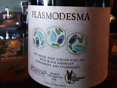 Plasmodesma - Sour Beer Label beer beer label beer labels handdrawn label packaging plasmodesma science illustration sour beer speciation artisan ales