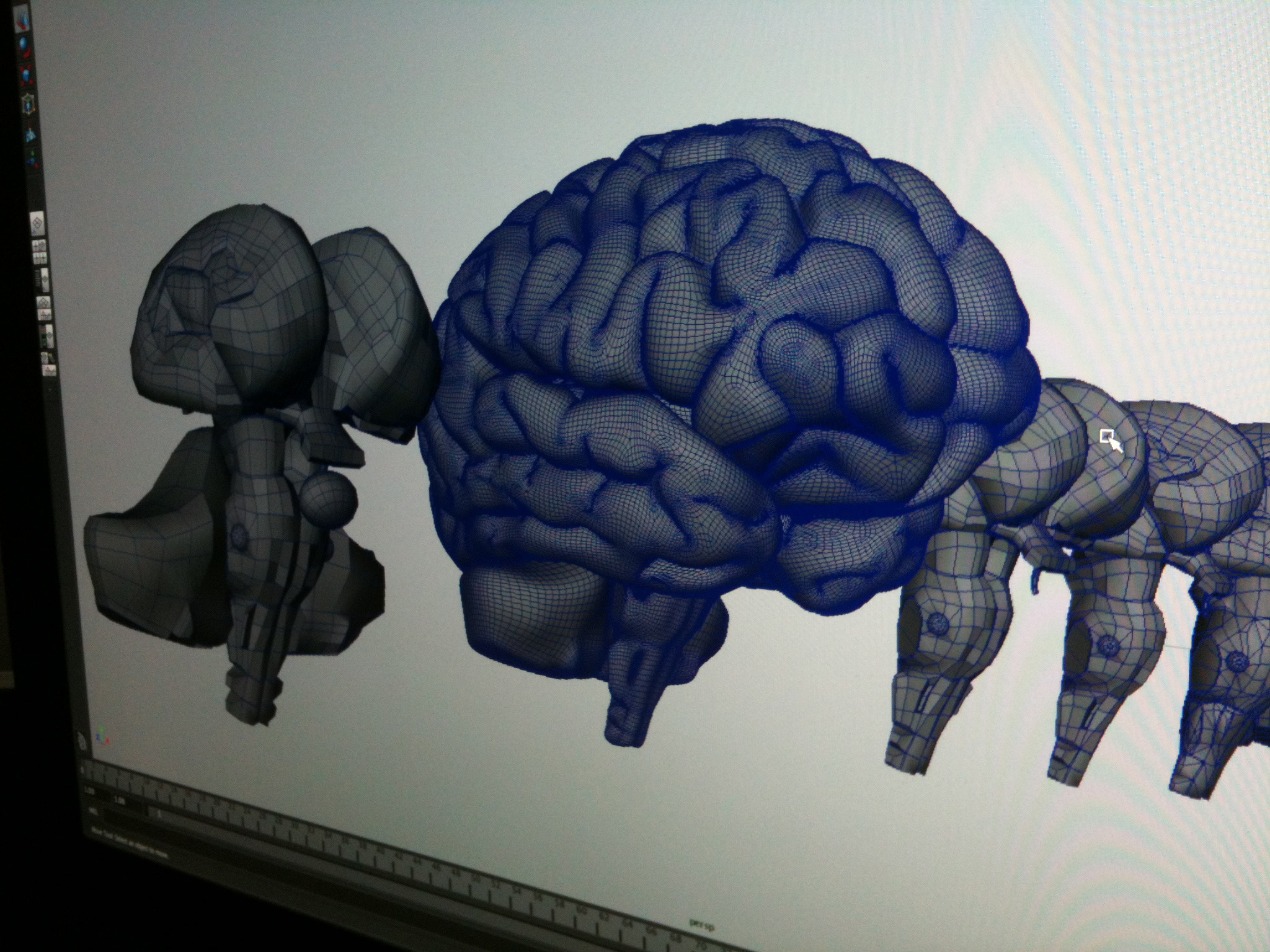 Work In Progress - 3D brain by Craig Whyte on Dribbble