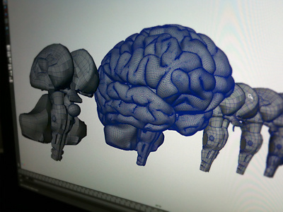 Work In Progress - 3D brain 3d brain medical work in progress