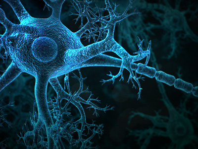 Neuron 3d animation medical