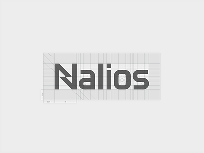 Nalios - custom type grid