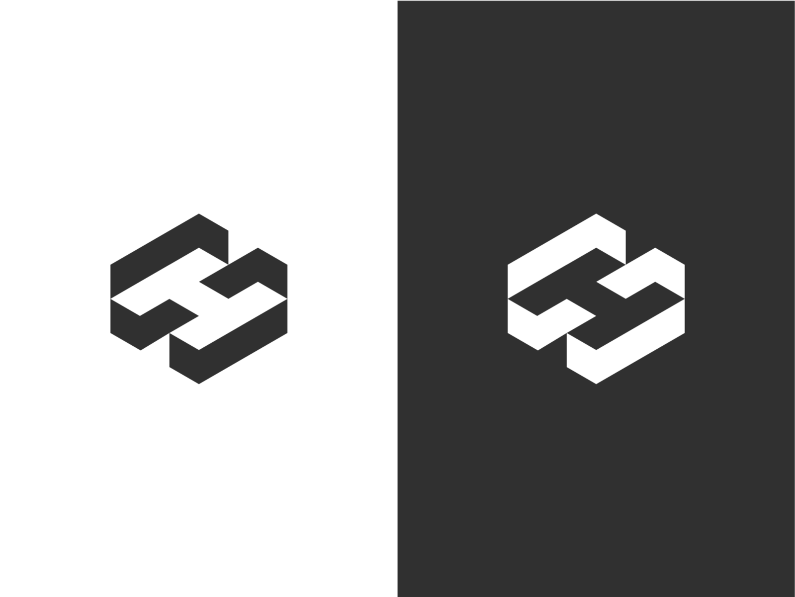 HS Lettermark by Daniel Rotter on Dribbble