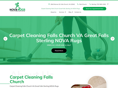 Carpet Cleaning Web Design logo ui ux web design