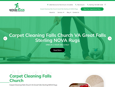 Carpet Cleaning Web Design logo ui ux web design