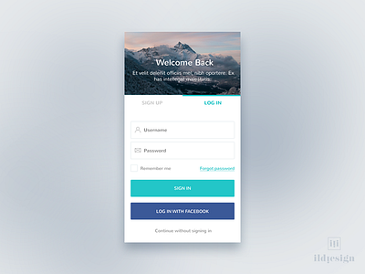 Log In Ui Design
