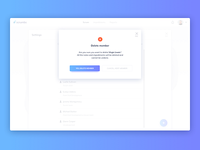 Delete Member UI Design agile daily ui dailyui delete delete pop up development ildiesign ildiko ignacz management scrum.scrumbs ui ui design ui kit ui pattern ui practice ux ux design