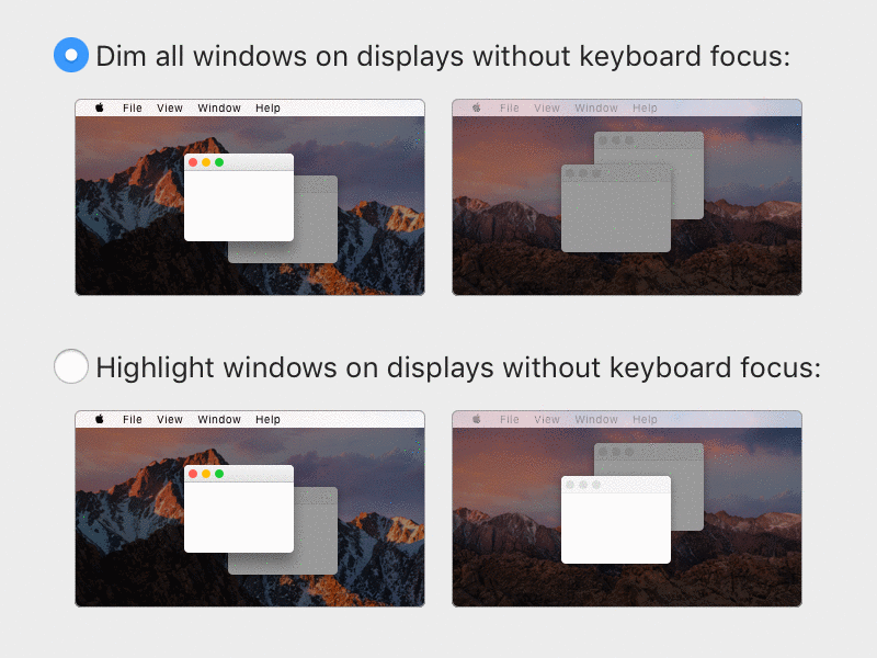 Dynamic Desktop Mockup for App Preferences