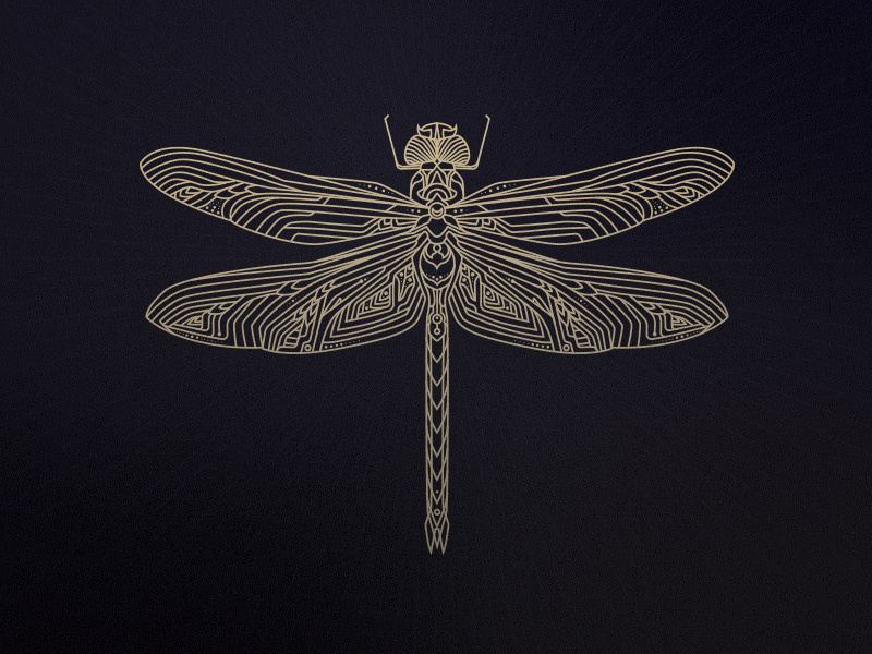 Dragonfly mark logo dragonfly illustration