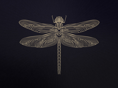 Dragonfly