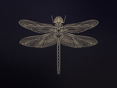 Dragonfly dragonfly illustration logo mark