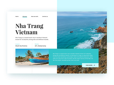 Travel website concept