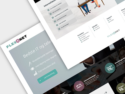 Flexonet frontpage internet it landingpage phone provider webdesign