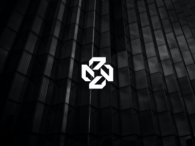 Zerker™ - Visual Identity