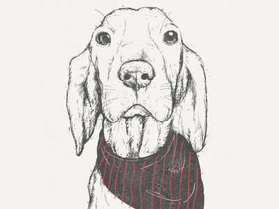 Amber animal character dog illustration illustrator portrait sketch