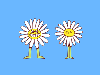 Daisies character daisy design flowers graphic design illustration illustrator vector