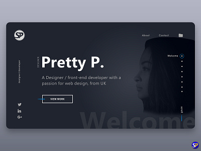 Freelancer Portfolio Website Ui