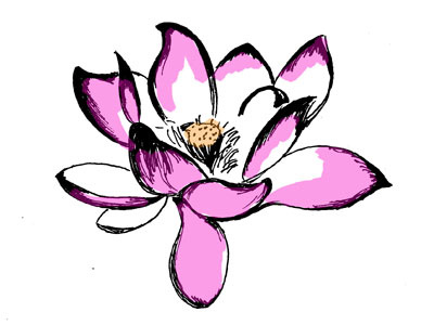 Lotus Flower Illustration drawing illustration photoshop