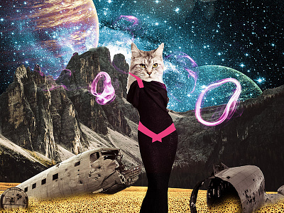 Cat Power cat collage digital photomanipulation planet pop surrealism space sunflowers surreal scene surrealism