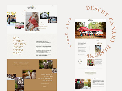 Desert Canary Design Website branding design flodesk honeybook marketing social media squarespace