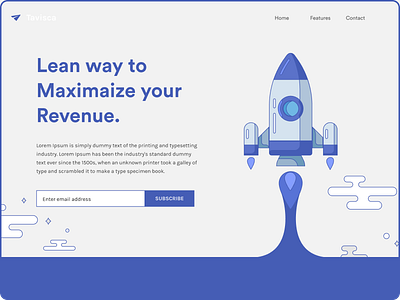 Revenue Landing Page banner landingpage ui visualdesign website