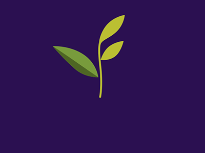 2 Options motion graphics motion design animation animated gif gif