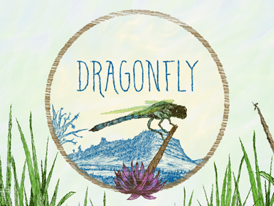 Dragonfly dragonfly drawing illustration insects