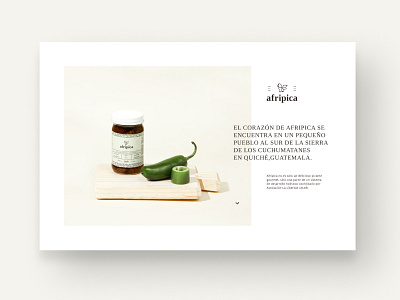 Website Afripica