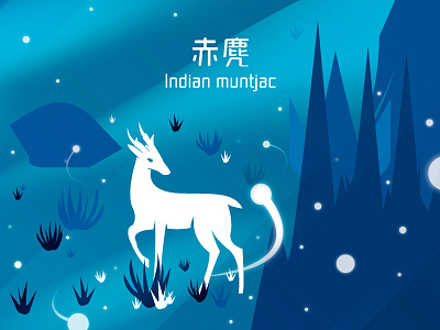Mountains of Hong Kong - Indian muntjac 赤麂 (A01) deer dribbble hk hong kong indian muntjac invitation invite mack chan mack studio 赤麂 香港 黃麂