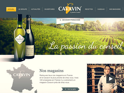 Cavavin website flat grape simple ux vin webdesign wine