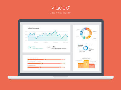 Data Visualisation Viadeo