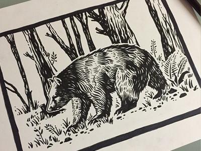 Bear Drawing bear illustration inking outdoors