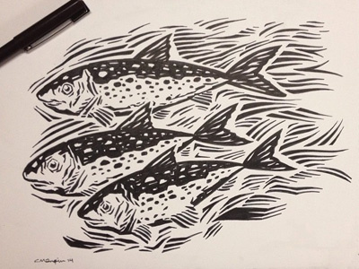 Fayettechill Upstream Illustration drawing fayettechill fish illustration inking