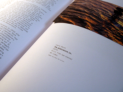 PVA Journal Limerick Detail art book critique design journal layout print publication